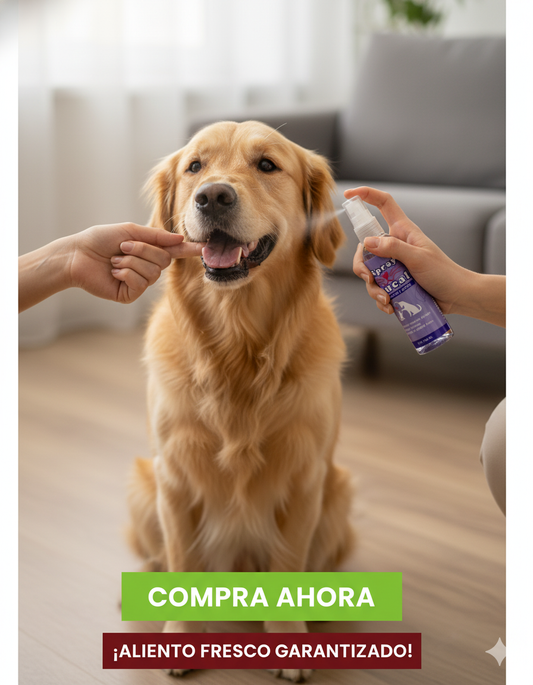 PetFresh™ Spray Bucal Instantáneo 100 ml | Aliento Súper Fresco y Cuidado Dental Diario para Perros