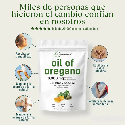 Aceite de Orégano – El Antibiótico Natural Más Poderoso