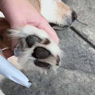 Recortadora Imperial Pro® — Patitas limpias y seguras, sin estrés