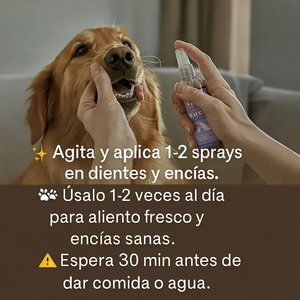 PetFresh™ Spray Bucal Instantáneo 100 ml | Aliento Súper Fresco y Cuidado Dental Diario para Perros