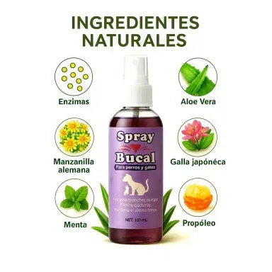 PetFresh™ Spray Bucal Instantáneo 100 ml | Aliento Súper Fresco y Cuidado Dental Diario para Perros