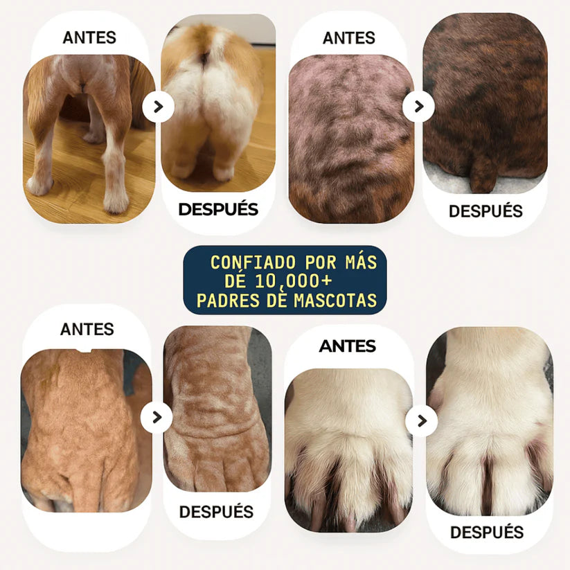 TRATAMIENTO NATURAL PARA PIEL ROJA, IRRITADA, CON GRANITOS O DERMATITIS.